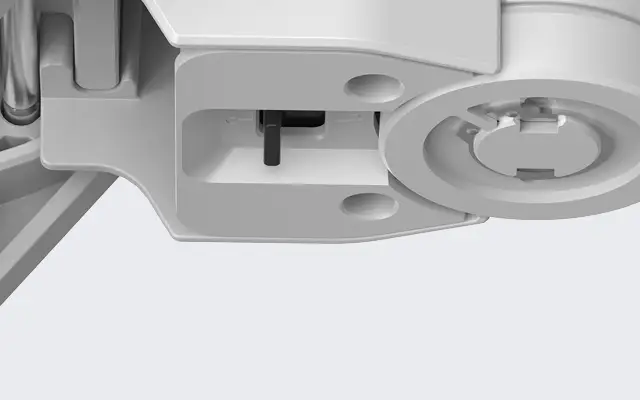 Pstryczek Zdjęcie pstryczka